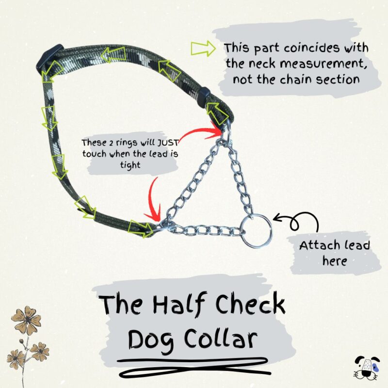 How To Measure for a Half Check Dog Collar