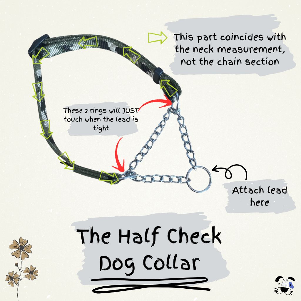 How To Measure for a Half Check Dog Collar