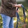 Dog Training Lead in use