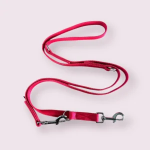 Training Lead Police Dog Style Red
