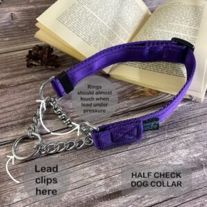 Half Check Dog Collar Explainer
