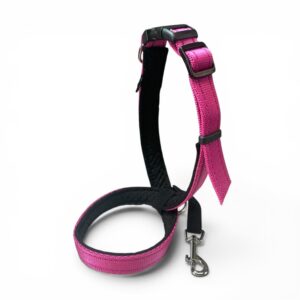 Simple Leader Head Collar for Dogs Pink Cerise