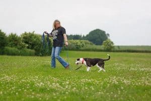 Dog training lead use