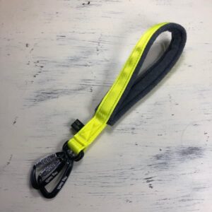 Dog Leads for Arthritis