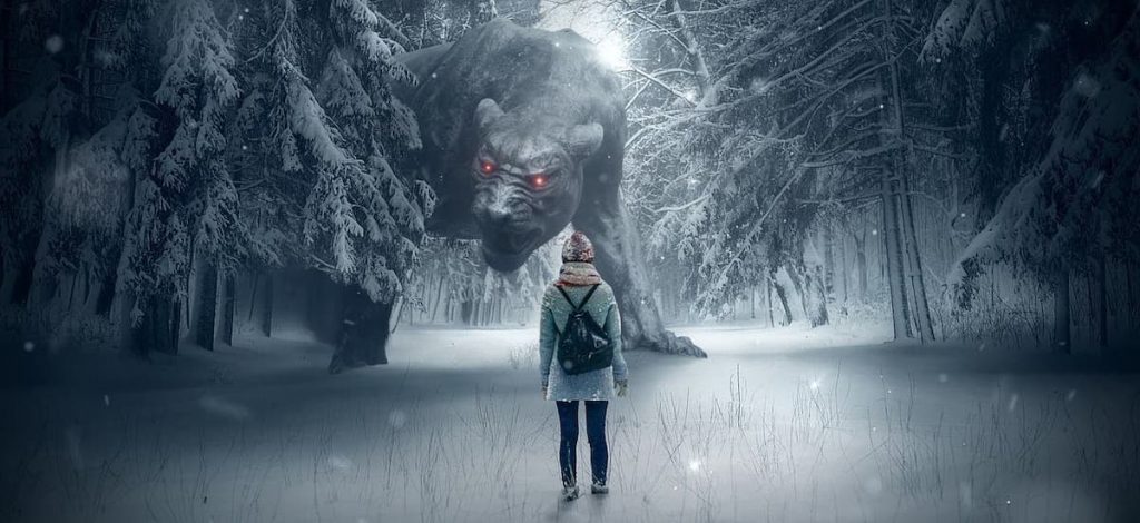 winter hazards for dog