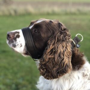 Head Collars