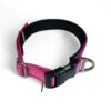 Neoprene Lined Dog Collar Pink