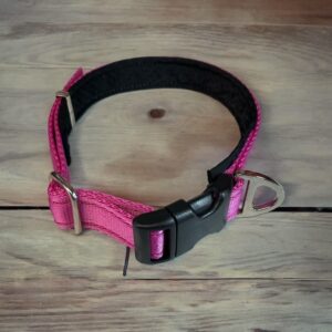 Dog Collars