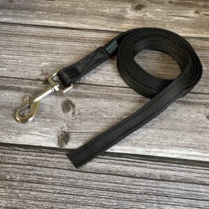 House Lead