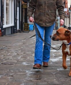 Double ended dog lead