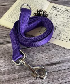 Purple Dog Lead 25mm