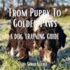 Dog Training Guide - From Puppy to Golden Paws