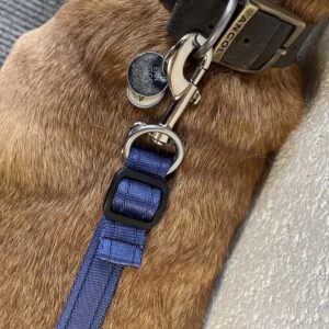Hungry Harness top