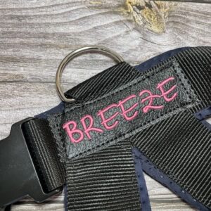 Custom harness with embroidery
