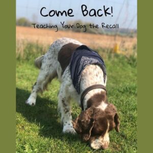 Teaching The Recall