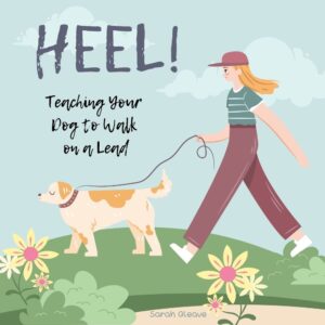 Teaching Your Dog to Walk on a Lead