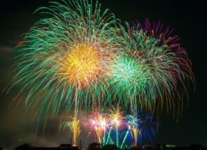 Dogs and Fireworks