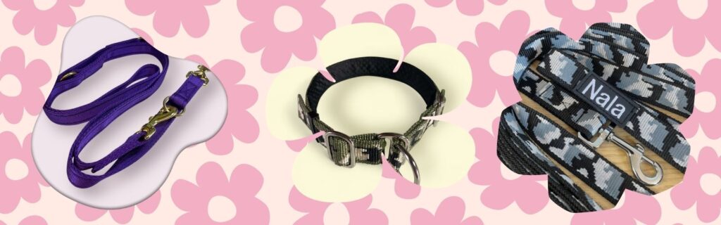 5 Common Dog Lead Buying Mistakes