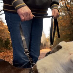 Anti Chew Dog Lead