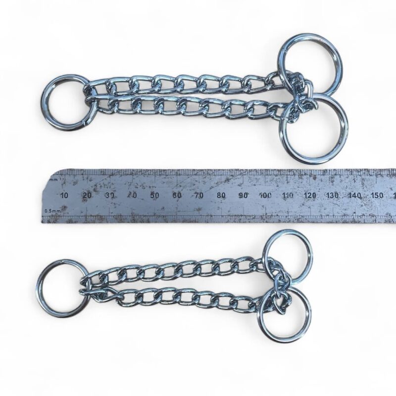Circle Chains | Martingale Chains | Spec