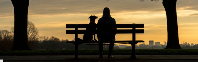 The Mental Health Benefits of Dogs