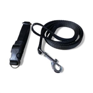 Puppy and small dog collar and lead set black