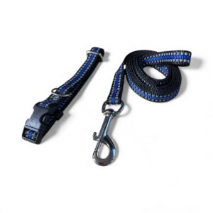 Puppy and small dog collar and lead set blue reflective