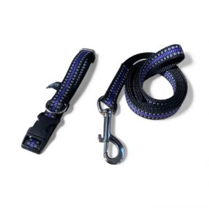 Puppy and small dog collar and lead set purple reflective