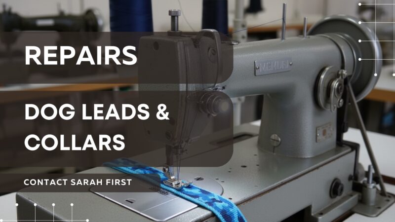 Dog Lead and Collar Repairs