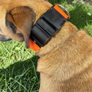 Large 50mm dog collar faux sheepskin lined orange & black, shown on a dog