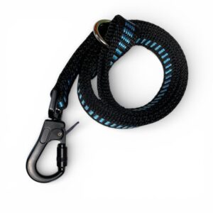 Locking Carabiner Lead Blue Black