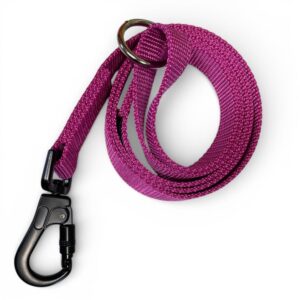 Locking Carabiner Lead Pink Cerise