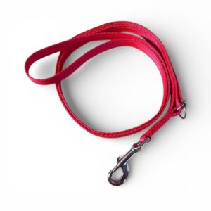 Double up dog lead red