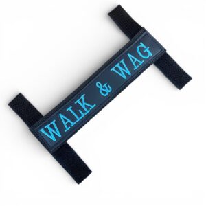 Dog Walking Belt Removable Name Plate Front 2