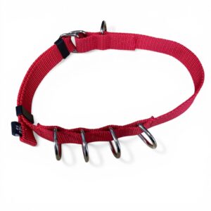 Multi-Paw Dog Lead Tidy Red
