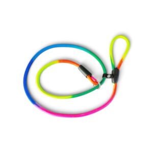 Rope Slip Leads for medium dogs rainbow ombre