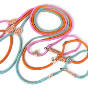 Rope Slip Leads for small dogs