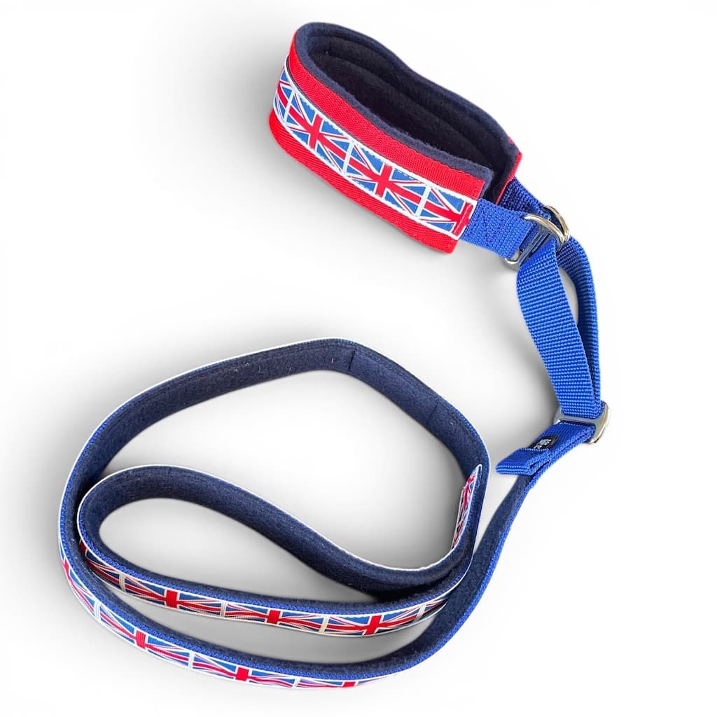 Slip Collar and Lead GB Main D1