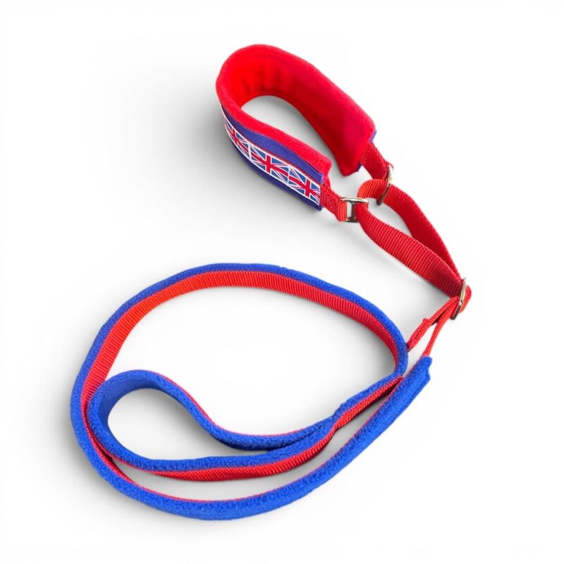 Slip Collar and Lead GB D2