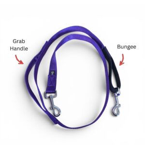 Waist belt Lead Diagram