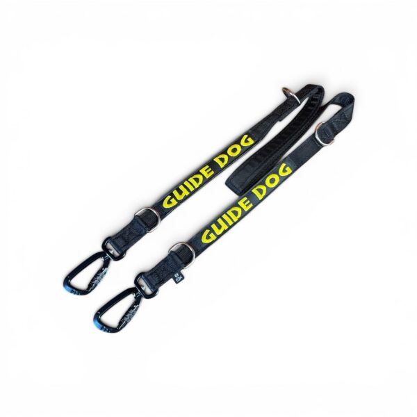 Guide Dog Carabiner Lead