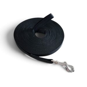 Dog Training Lead Recall Black